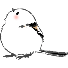 Shimaenaga 08 - CLIP STUDIO ASSETS