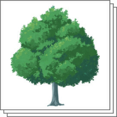 普通の木ブラシセット（葉と幹の分離可能） - CLIP STUDIO ASSETS