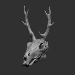 鹿の骨（3D素材） - CLIP STUDIO ASSETS