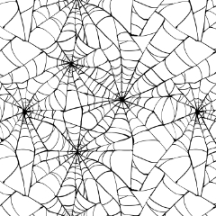 Spider Web - CLIP STUDIO ASSETS