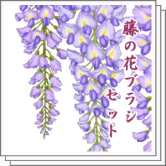 Wisteria Flower Brush Set - CLIP STUDIO ASSETS