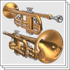 Trumpet vol.1(3D/pose) - CLIP STUDIO ASSETS