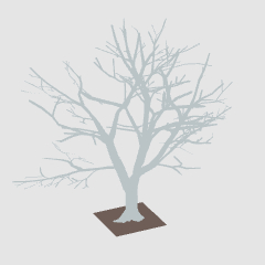桜の木（冬） - CLIP STUDIO ASSETS