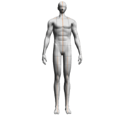 Body type - south 188 - muscle - CLIP STUDIO ASSETS