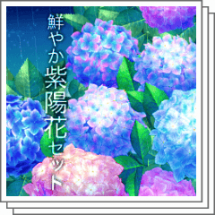 Vivid Hydrangea Set - CLIP STUDIO ASSETS