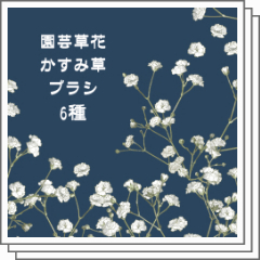 かすみ草ブラシ6種 - CLIP STUDIO ASSETS