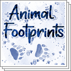 動物の足跡 - CLIP STUDIO ASSETS