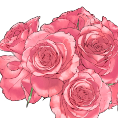 お持ち込み5点　薔薇　手描き　トールペイント Roses_Horizontal Lots Brush - CLIP STUDIO ASSETS