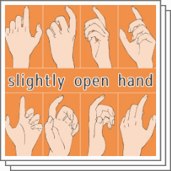 HANDS: 19世紀の手のイラスト集 13. Lightly open hands - CLIP STUDIO ASSETS